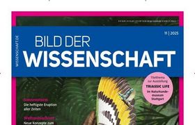 Bild der Wissenschaft Abo